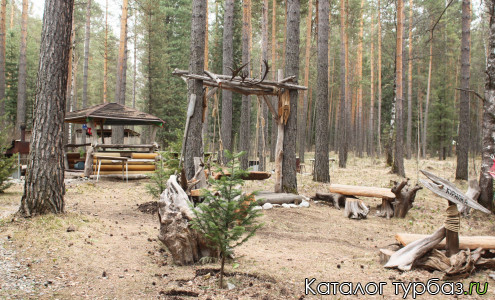 База отдыха «Кедр»
