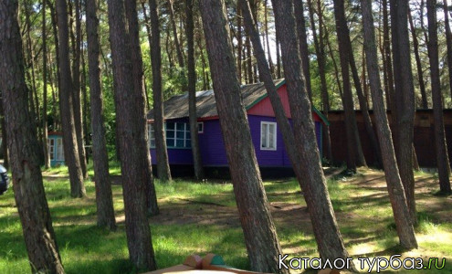 База отдыха «Сосновая поляна»