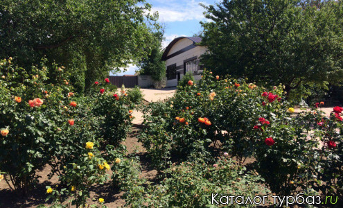 База отдыха «Волна»