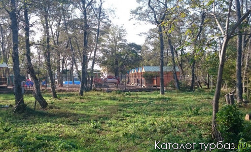 База отдыха «Рыжий кот»