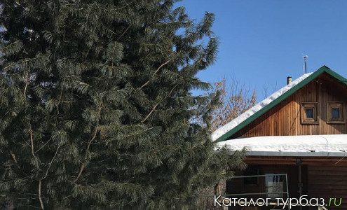 База отдыха «Таежный Берег»