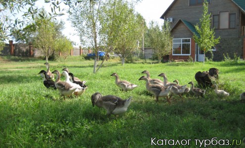 Усадьба «Лукича-Серова»