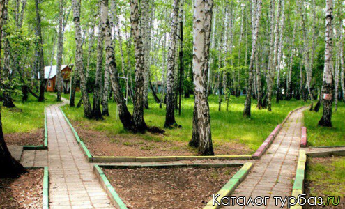 База отдыха «Олимп»