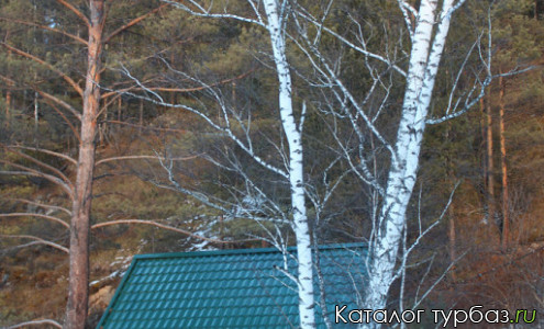 База отдыха «Простоквашино»