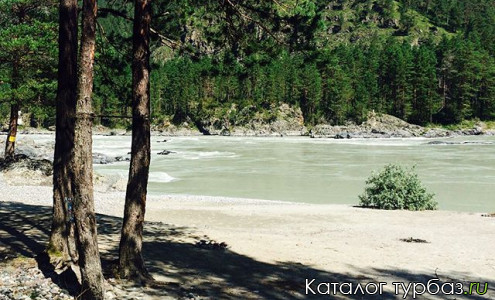 Кемпинг «Шишкулар»