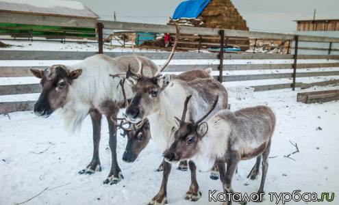 База отдыха «Уральская заимка»