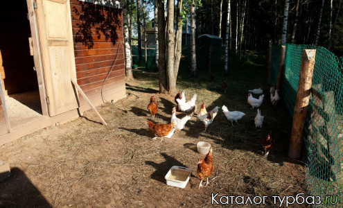 База отдыха «Усадьба Родное»