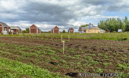 База отдыха «Усадьба Родное»