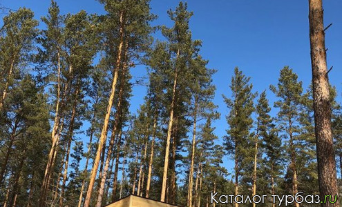 Эко-база отдыха «Шишка»