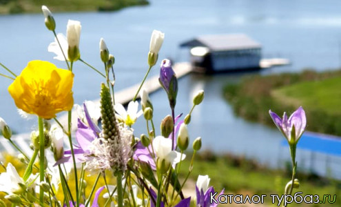 живописные виды 