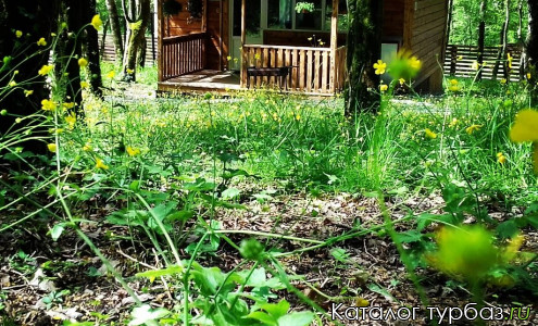 База отдыха «Лесной Рай»