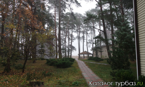 Турбаза «Вит Тех»