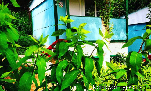 База отдыха «Скала»