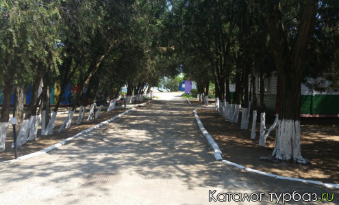 База отдыха «Залив»