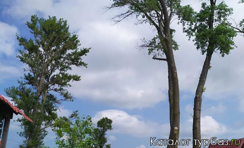 База отдыха «Ханкай»