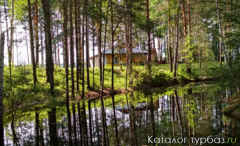 База отдыха «Бани на кордоне»