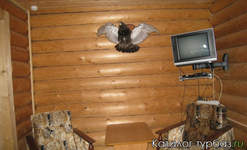 База отдыха «Русский медведь»