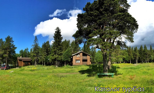База отдыха «Cedar Grass»