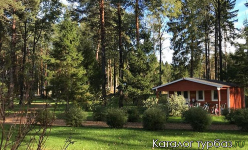 База отдыха «Ефимов Бор»