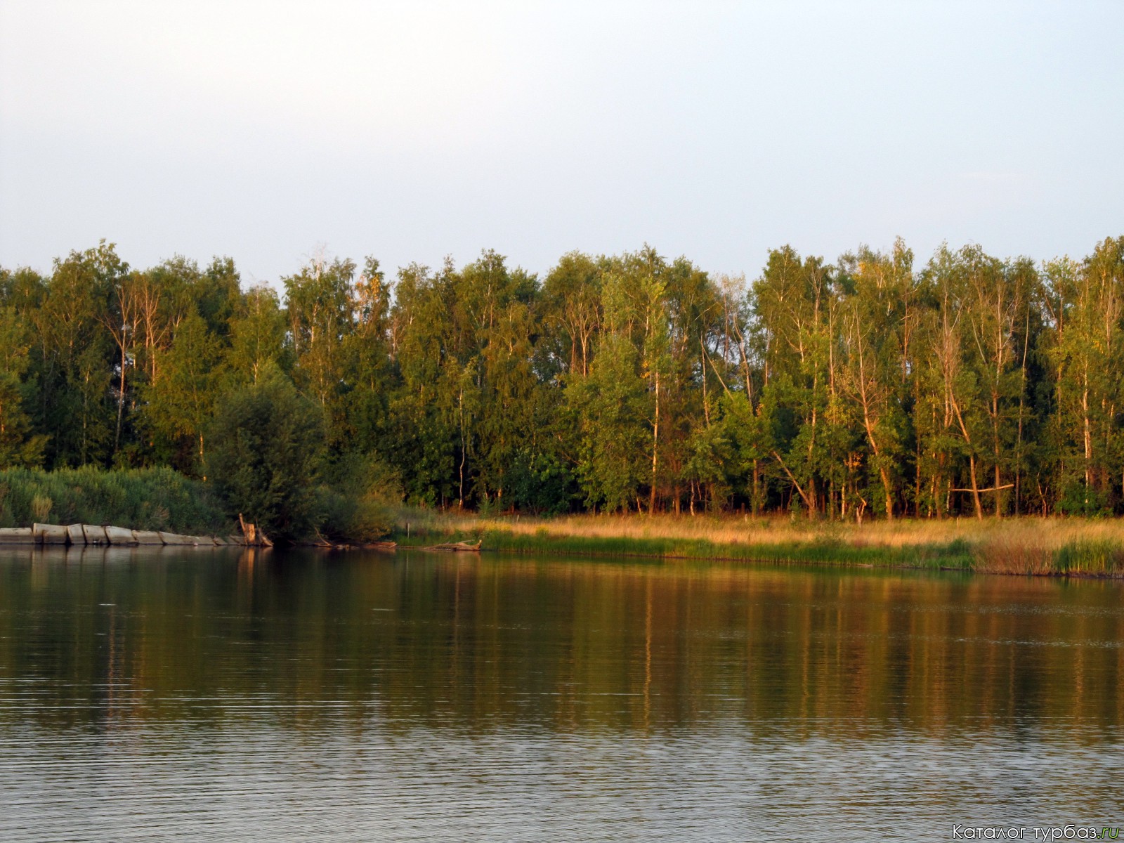 Васильевское озеро