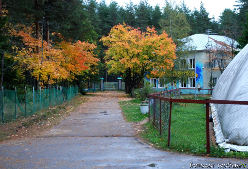 База отдыха зорька томск заварзино фото